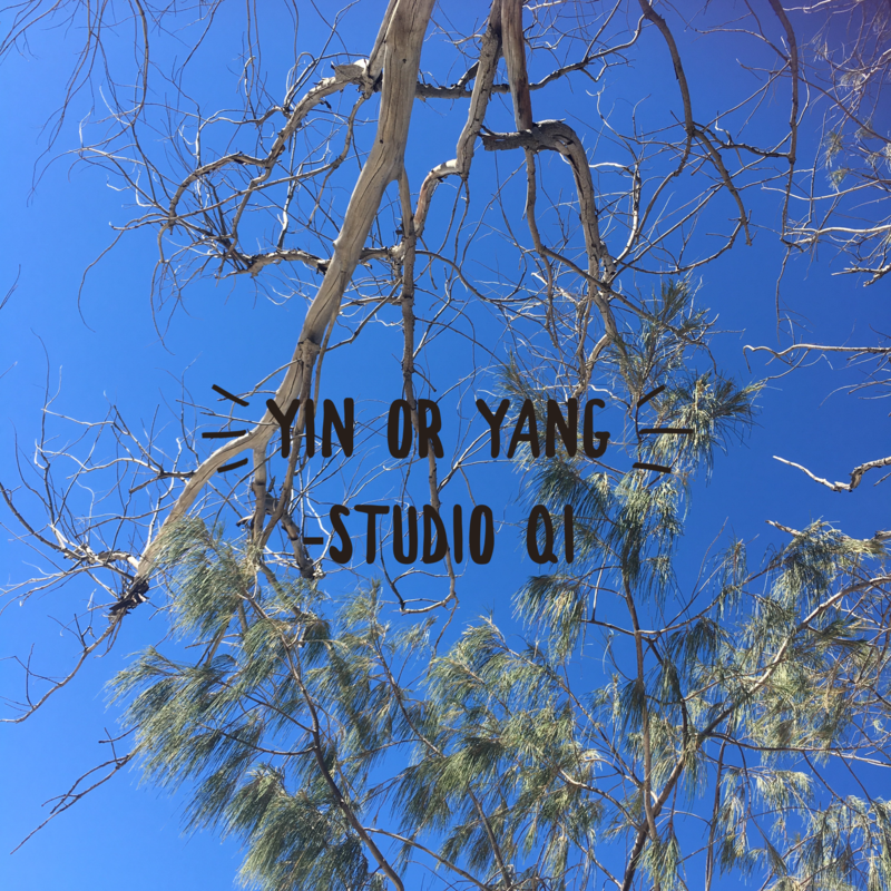 Are you more Yin or Yang? Are you more Yin or Yang?